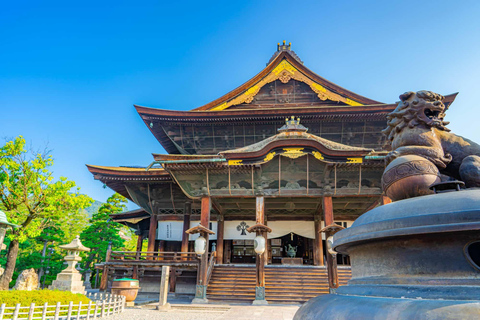 Private Nagano Luxury Cultural & Nature Day Tour from Tokyo