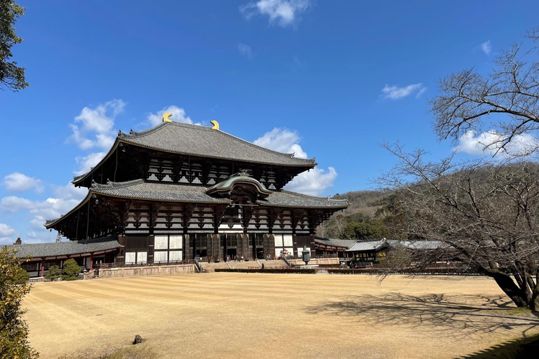 Osaka: Kyoto Scenic Day &amp; Night Busstur med Kobe Beef