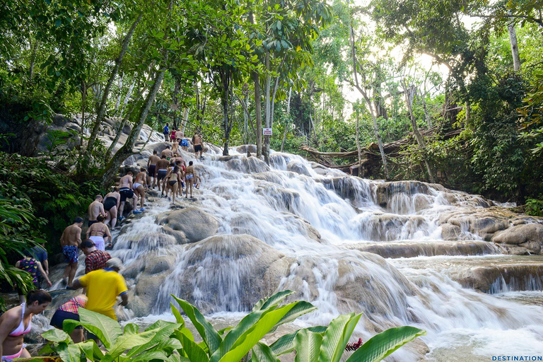 Bob Marley Mausoleum & Dunn’s River Falls Private Tour