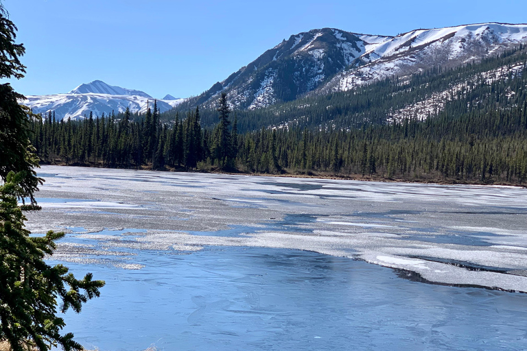 Denali National Park: Triple Lakes Trail Guided Hike