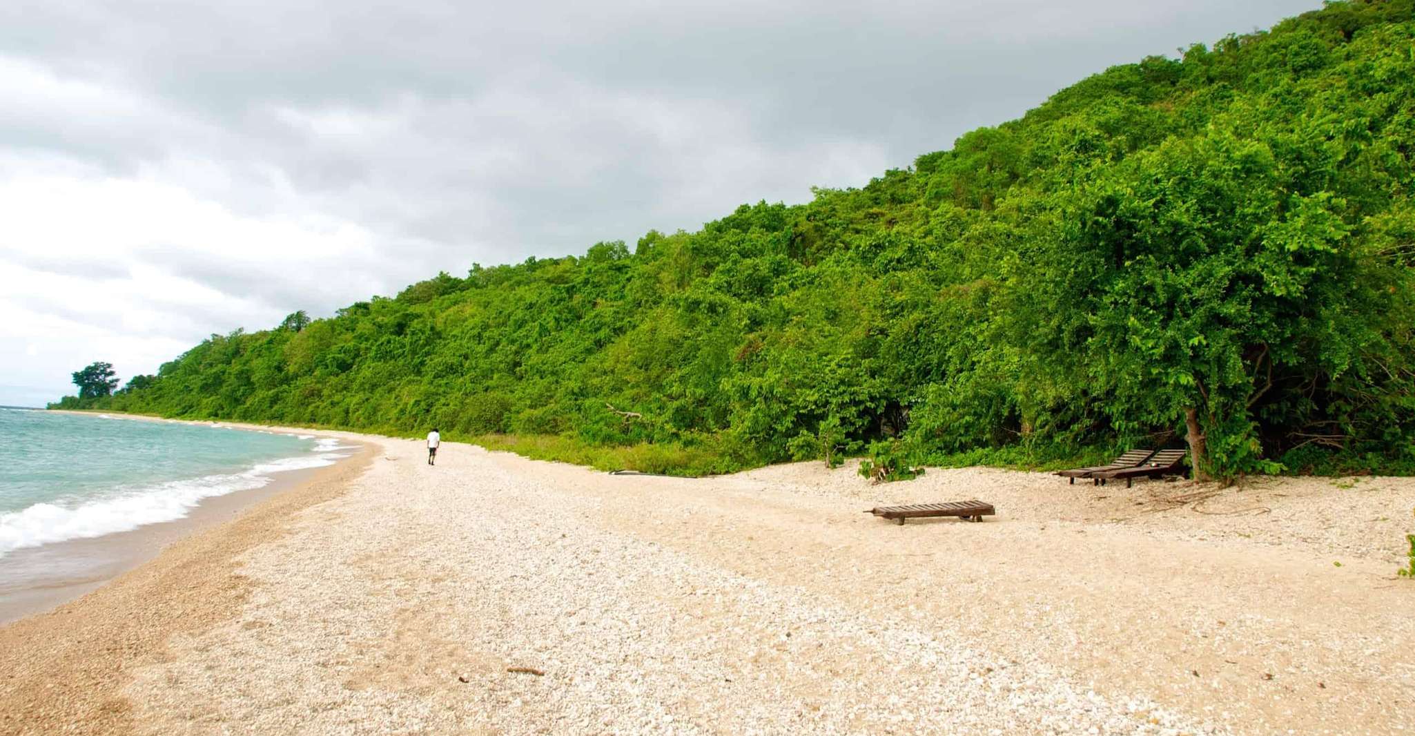 Gombe Stream National park Day trip Adveture - Housity