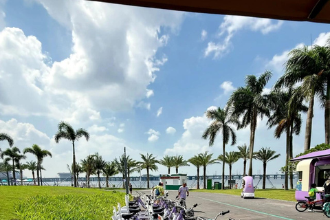 From Hong Kong: Shenzhen Day Tour Cultural & Massage & Tech