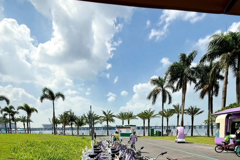 From Hong Kong: Shenzhen Day Tour Cultural & Massage & Tech