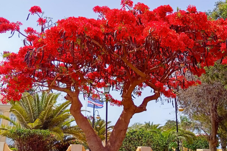 From Praia: Museum & Markets & UNESCO City Small Group