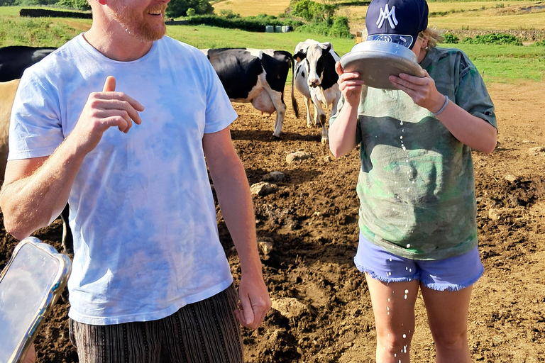 Azores: Half-Day Dairy Farm Tour