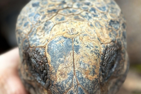 Ciudad de piedra y prisión Isla