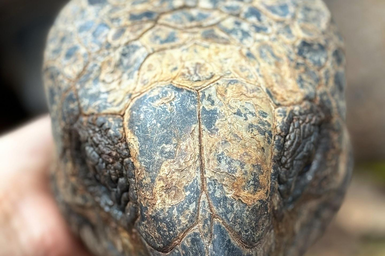 Ciudad de piedra y prisión Isla