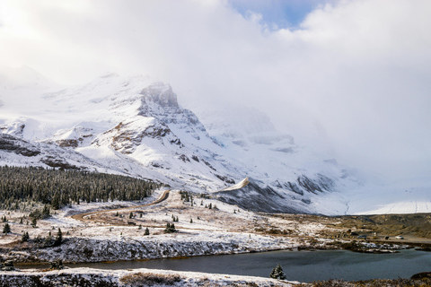 Calgary: Columbia Icefield & Bow Lake & Peyto Lake With Ice Explorer Adventure Ticket (Recommended)