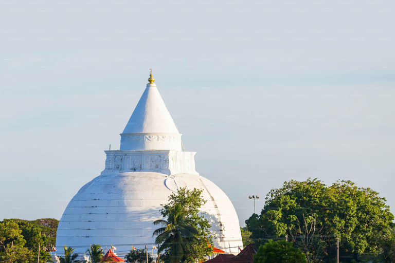 Tissamaharama: Temple Tour by Tuk-Tuk with Guide