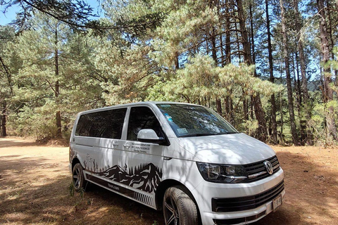 Monte Alban. Bike Tour. Archaeology, Alebrijes, and History.