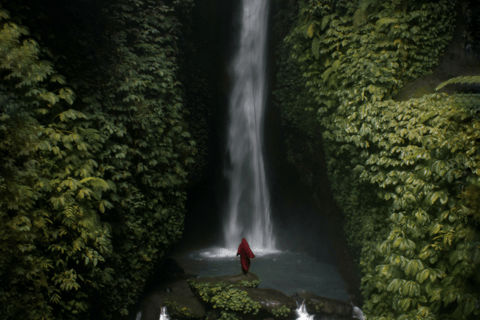 Bali: Tour privato dell&#039;Ovest di Bali, auto di lussoTour privato, Viaggio Instagrammabile a Bali Ovest