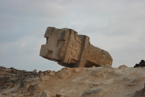 塞拉莱：私人 4 小时观光游与英语或阿拉伯语导游一起游览