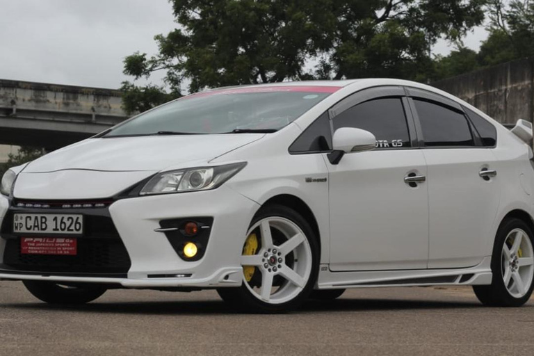 Trincomalee: Minneriya Safari & Sigiriya/Dambulla Transfer