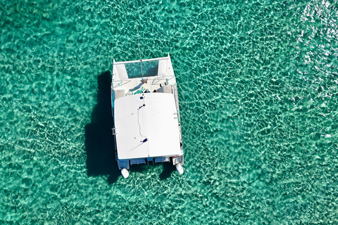 3 HR Peanut Island Sandbar & Swim Tour