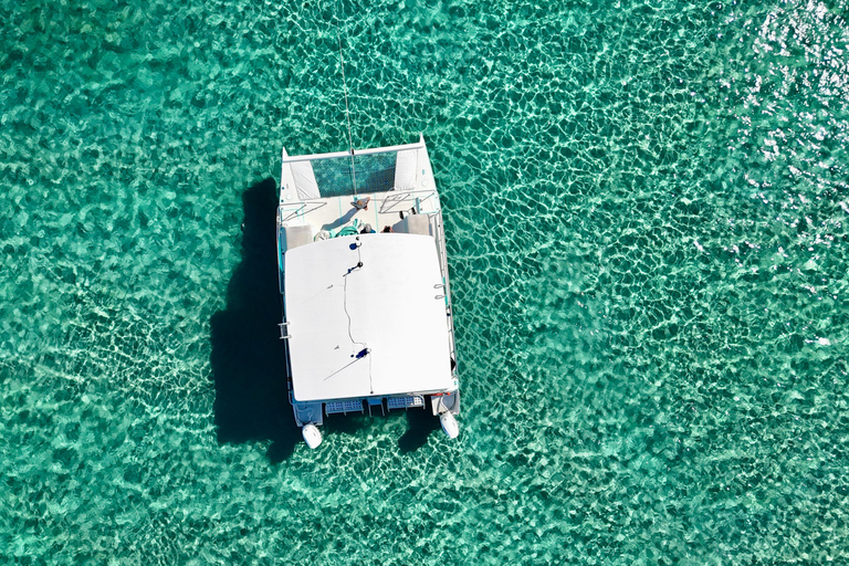 3 HR Peanut Island Sandbar & Swim Tour