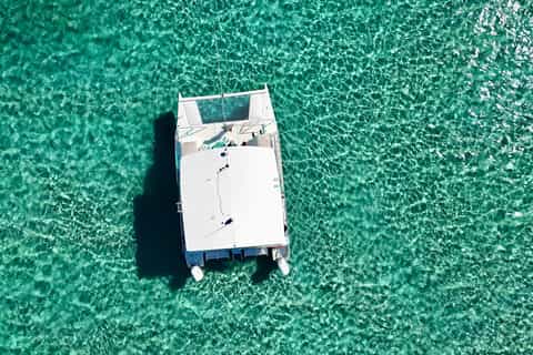 Excursion de 3 h au banc de sable de Peanut Island et baignade