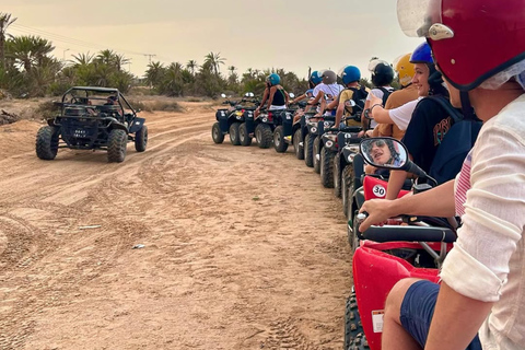 Quad Bike Ride in Djerba – 3 Circuits to Choose From (90 minutes) Quad Bike Tour in Djerba – 3 Itineraries to Choose From (90 minutes)