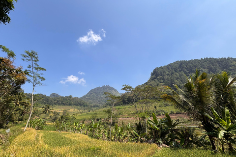يوغياكارتا: جولة شاملة مع مرشد سير في تراس الأرزيوجياكارتا: جولة شاملة على مدرجات الأرز مع مرشد
