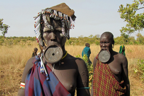 Addis Abeba: Północna trasa historyczna 7 dni/6 nocyAddis Abeba: Północny szlak historyczny 7 dni/6 nocy