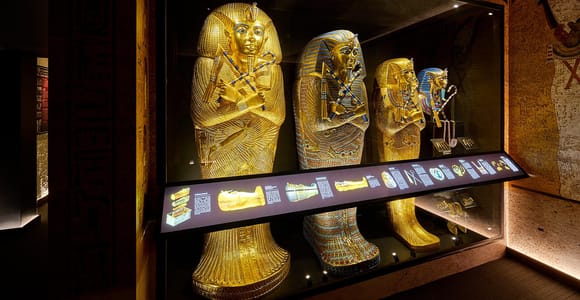 Tomb of the Pharaohs & Cairns Aquarium Combo Ticket