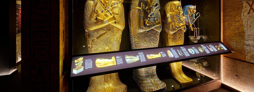 Billet combiné pour le Tombeau des Pharaons et l'Aquarium de Cairns