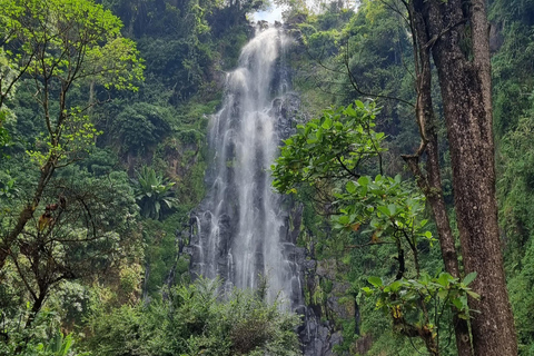 Materuni Waterfall & coffee tour with lunch+drinks Materuni waterfall,coffee tour with lunch & drinks