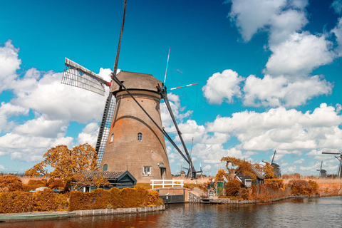 Lo Mejor de Róterdam: Visita privada a pie con un lugareñoVisita privada a pie por la ciudad - 2H