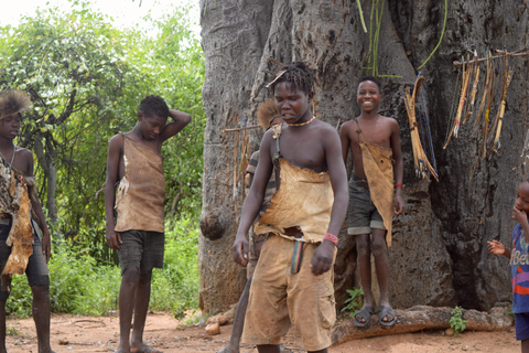 Tarangire-Nationalpark &amp; Eyasi-See (Datoga- &amp; Hadzabe-Dörfer)Premium Lodge im Tarangire-Nationalpark
