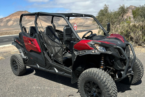 Family buggy - 4 seats, on road tour