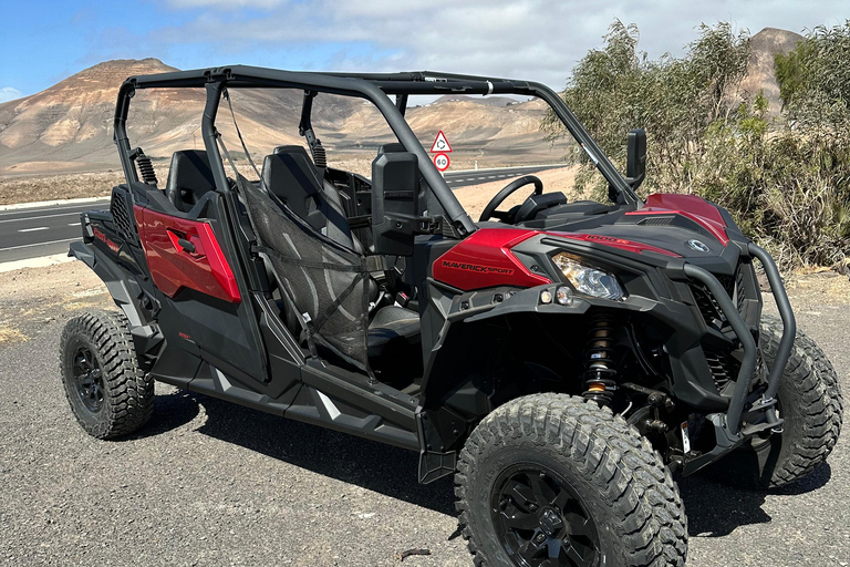 Family buggy - 4 seats, on road tour