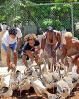 Doctor's Cave Beach, Canabis and Bird Farm Private Tour - Housity