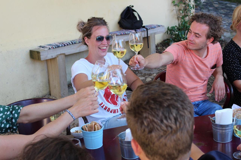 Lisbon: Portuguese Cuisine Food Tour with 17 Tastings