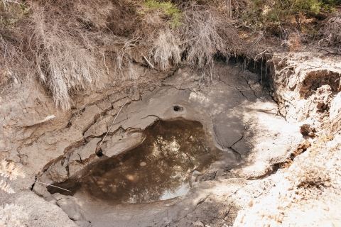 Whakarewarewa: entrada a los senderos geotermales
