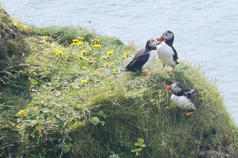 Private Tagestour an der Südküste mit GletscherwanderungPrivate Tagestour an die Südküste mit Gletscherwanderung