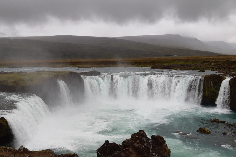 Akureyri: 4-Day Knitting Tour with the locals