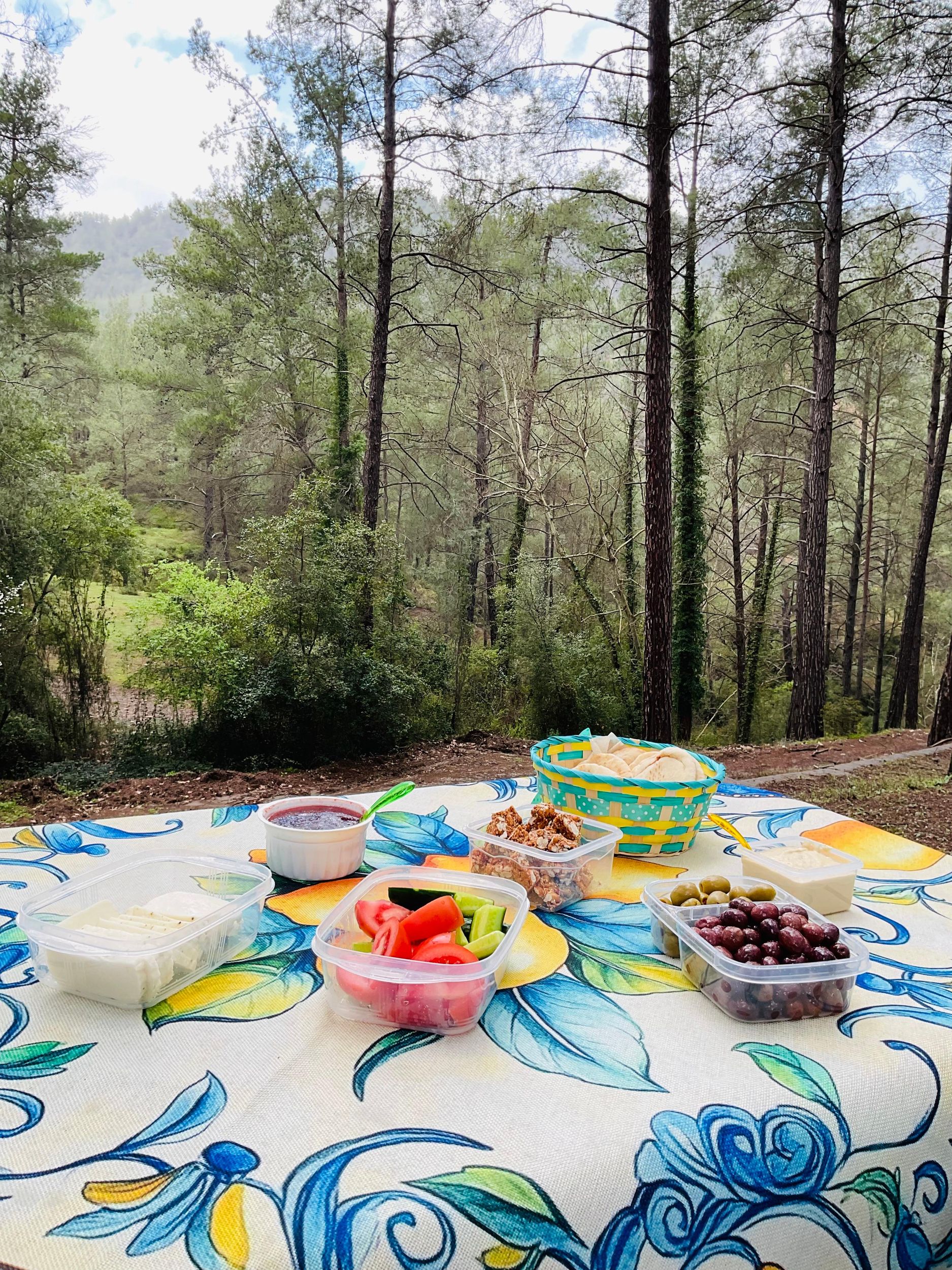 Ab Paphos: Private Troodos-Safari im Geländewagen mit Picknick & Weingut