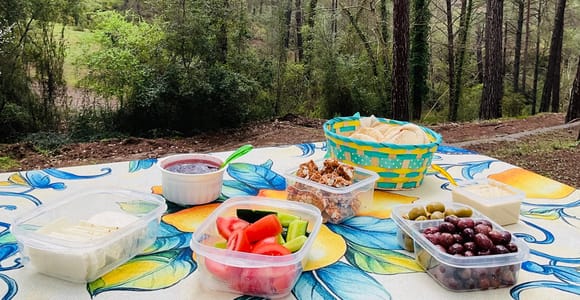 From Paphos: Troodos Private 4x4 Safari with Picnic & Winery
