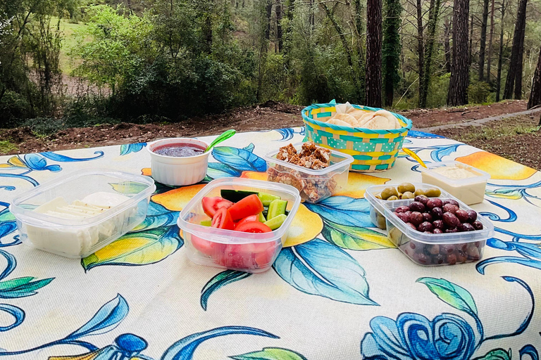 From Paphos: Troodos 4x4 Safari with Picnic & Winery visit