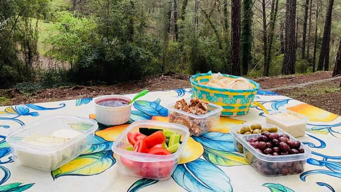 Ab Paphos: Private Troodos-Safari im Geländewagen mit Picknick & Weingut