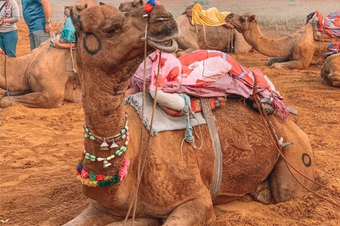 Jaipur: escursione privata in giornata ad Ajmer e Pushkar