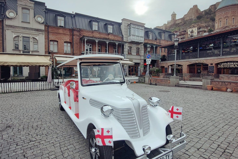 Tbilisi: Electric Bus and Boat Tour