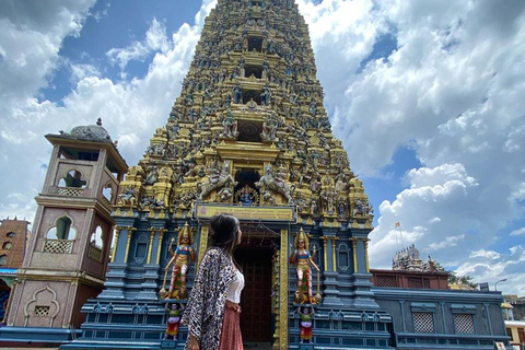 Depuis Kandy : Excursion d&#039;une journée à Sigiriya, Dambulla et Minneriya