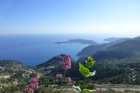 私人旅游意大利里维埃拉最美的圣雷莫和多尔切水上乐园