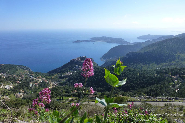私人旅游意大利里维埃拉最美的圣雷莫和多尔切水上乐园