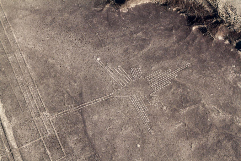 De Nazca : Vol en petit avion au-dessus des lignes de Nazca