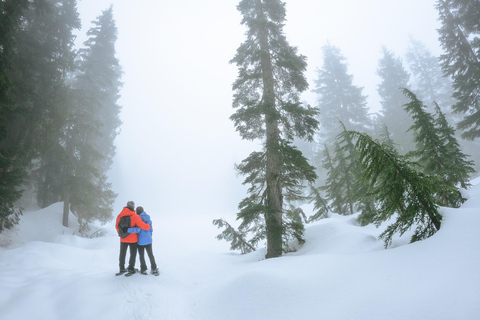 Portland: Mt. Hood Snowshoe Adventure with Lunch