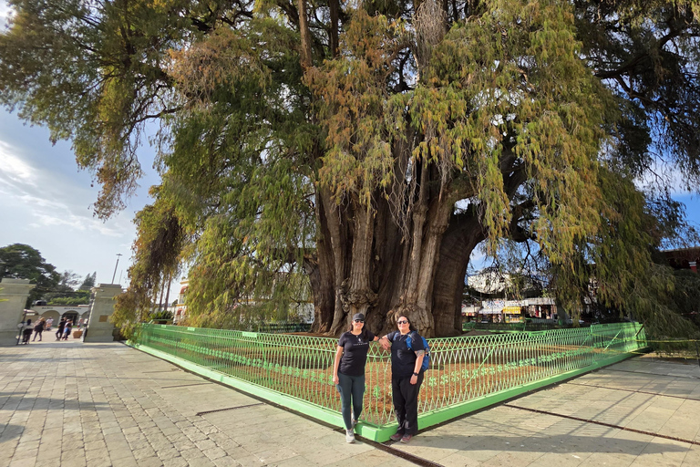 Mezcal and Traditions Route: Tree of Tule, Teotitlan Village, and Distillery Mezcal and Its Traditions Tour: Tree of Tule, Teotitlán, and Distillery