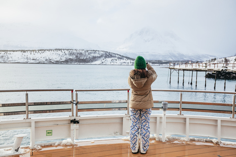 Tromsø: fiordo ártico en catamarán híbrido-eléctrico