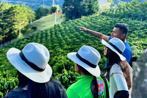 Medellin: Coffee Farm Tour - Taste the Stories of the Sierra English tour