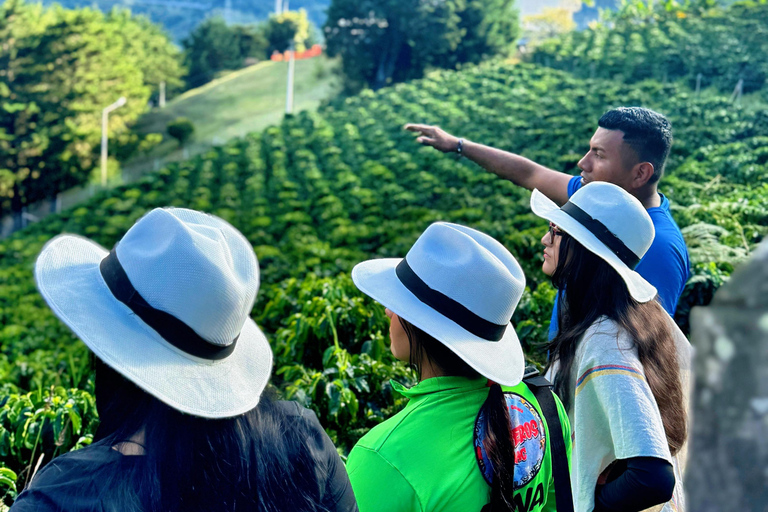 Medellín: Kaffeefarm-Tour – Probiere die Geschichten der SierraSpanisch
